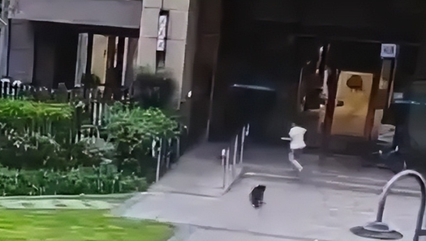 金多宝网站,白宫争吵爆发前两人已开始拌嘴,全面解答解释落实_铂金版V14.10